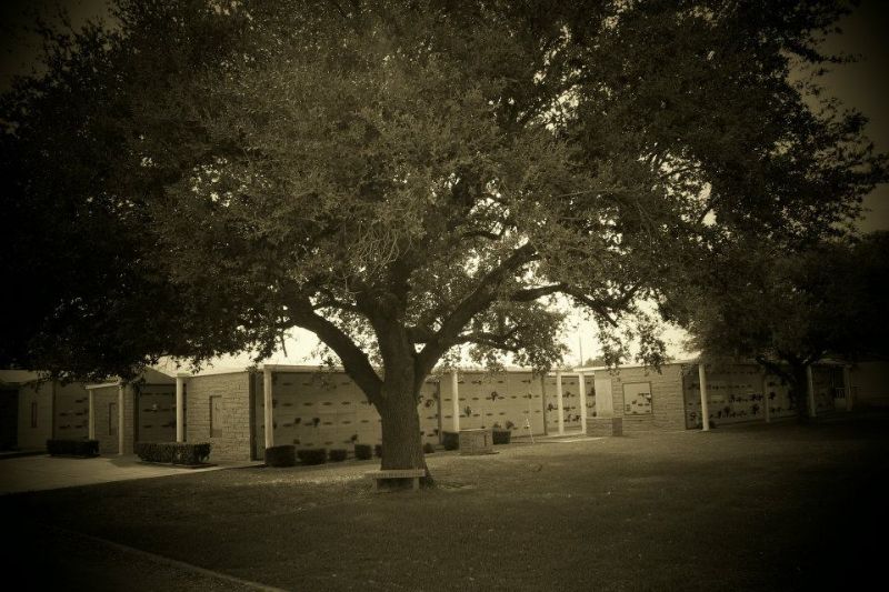 Live Oak Memorial Park