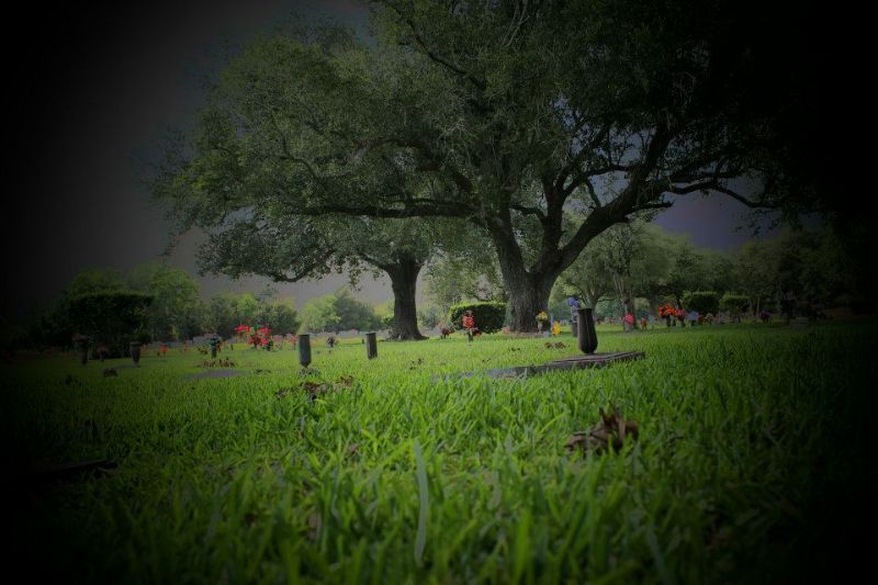 Live Oak Memorial Park