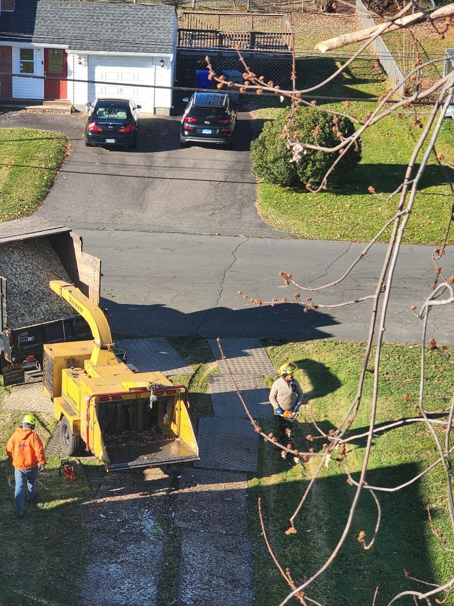 Two workers near a yellow wood chipper, driveway with cars in the background. Sunny day.