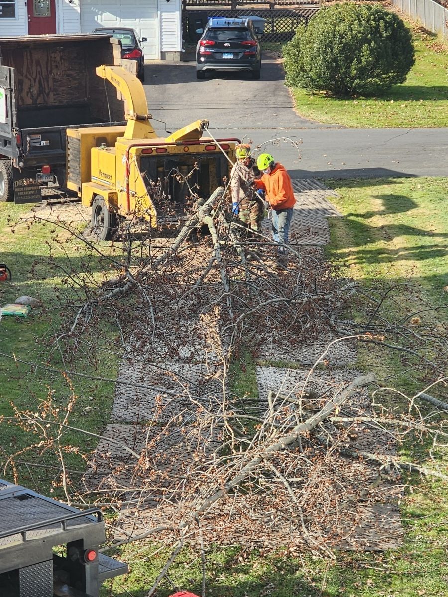 A person in an orange vest feeds tree branches into a yellow wood chipper in a residential yard.