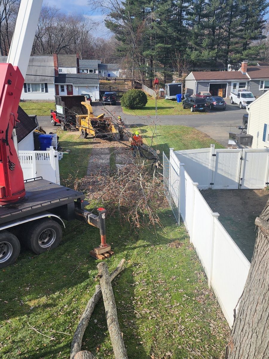 Tree removal in progress with a wood chipper, truck, and workers on a residential lawn.
