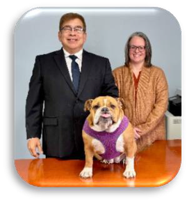 A man and woman standing next to a dog wearing a purple sweater