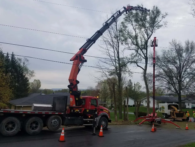 Red crane truck lifting tree branches beside a road, with cones and workers nearby.