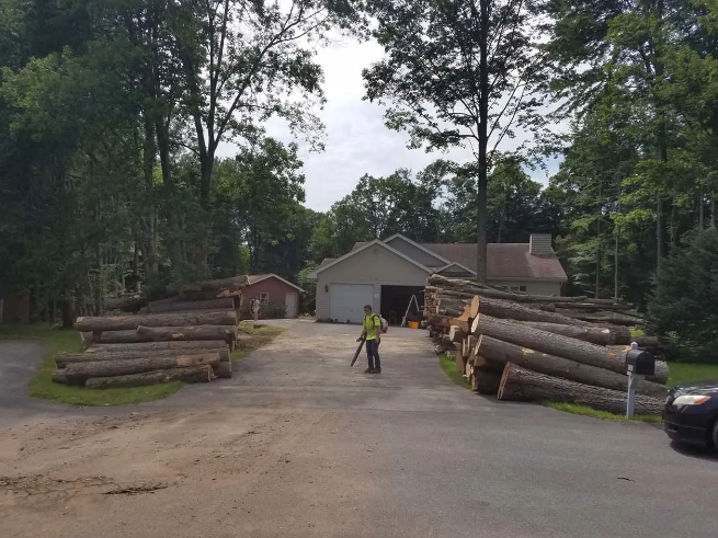 Logging yard with stacked logs on both sides of a driveway, a worker standing in the center.