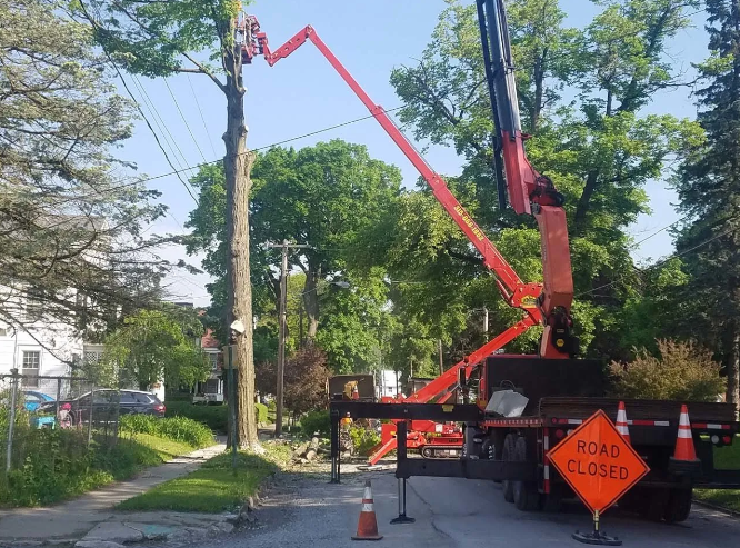 Tree trimming truck with red boom lift beside a road closed sign in a leafy neighborhood