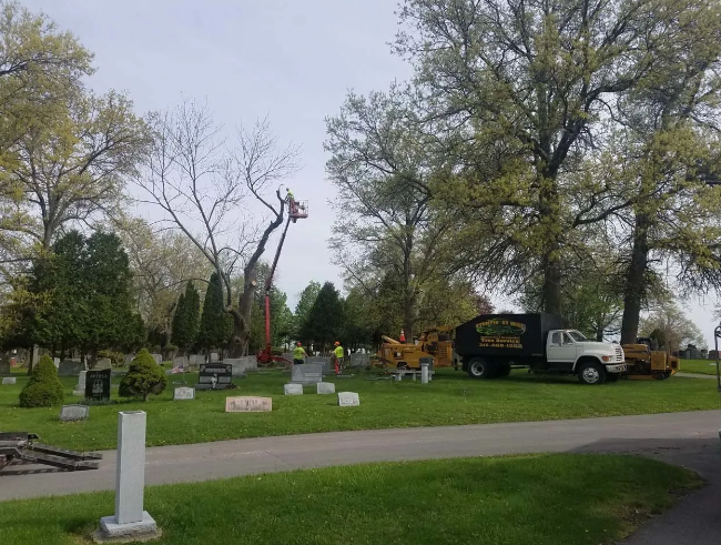 Cemetery with headstones, trees, and utility trucks working near a lifted pole by the road