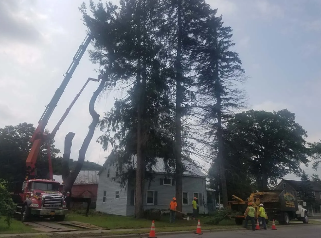 Tree removal crew using cranes beside a white house on a cloudy day