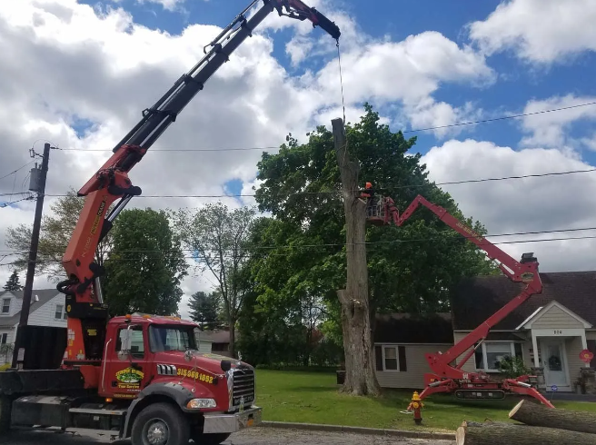 Two red cranes lifting a large tree trunk on a residential street under a cloudy sky.