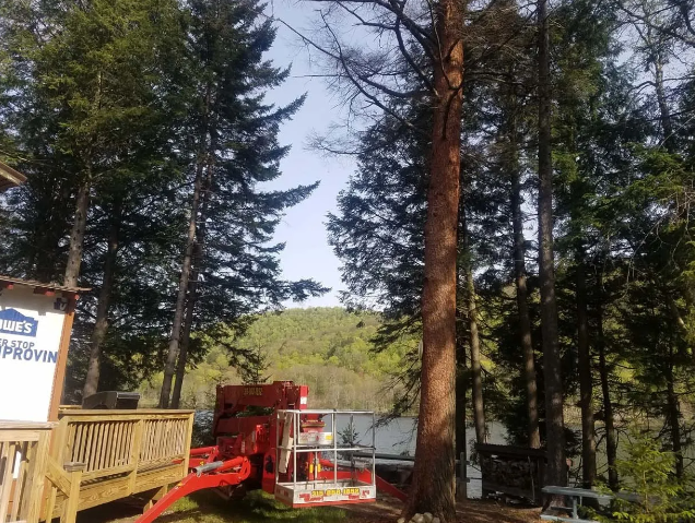 Red construction lift on a wooden deck among tall pine trees with a lake and hills in the background