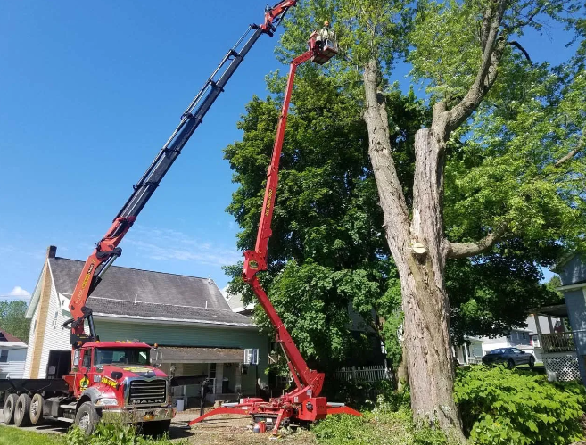 Tree removal with red crane truck and bucket lift beside a house, under a bright blue sky