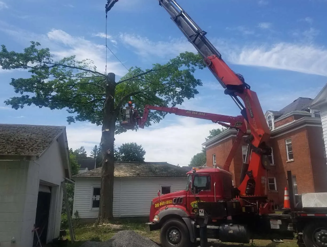 Red crane truck lifting a long tree limb beside houses under a blue sky