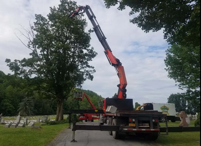 Truck-mounted crane lifting a tree limb in a wooded yard under a cloudy sky