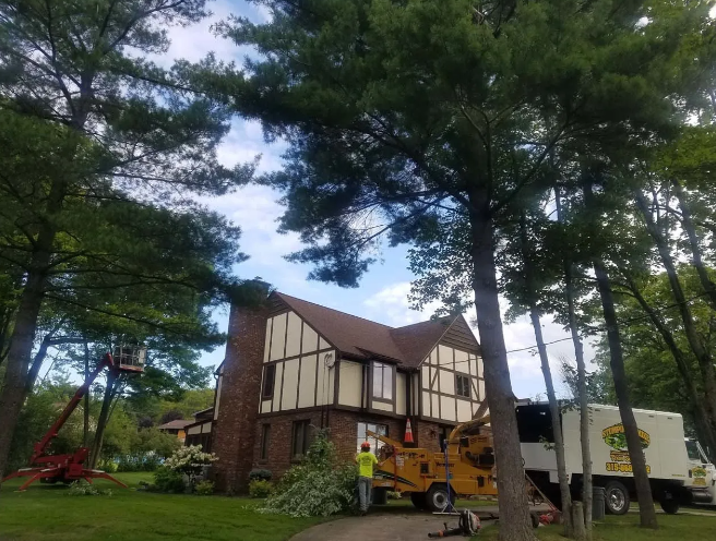 House among tall trees with a yellow truck and work equipment in the yard