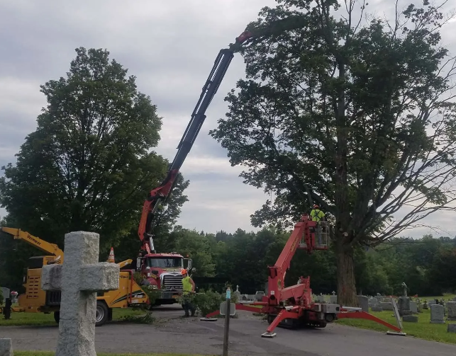 Crane lifting tree limbs in a cemetery, with workers and a red wood chipper under cloudy skies.