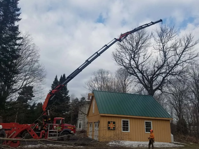 Crane lifts roof trusses onto a small wooden cabin with a green roof in a wooded area.