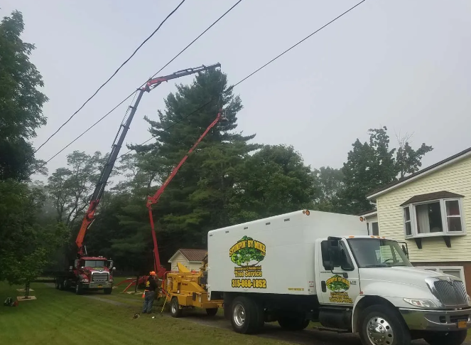 Tree service trucks and cranes trimming a tall tree beside a house on a rainy street.