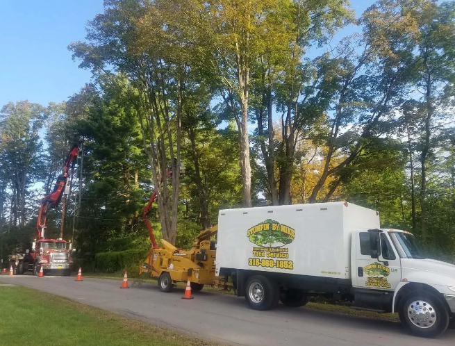Tree service trucks and cherry picker parked on a roadside by a wooded area with traffic cones.