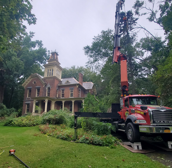 Red utility truck with crane trimming trees beside a brick house on a grassy lawn