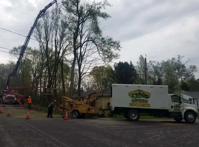 Tree removal crew with crane, wood chipper, and trucks on a roadside under cloudy skies