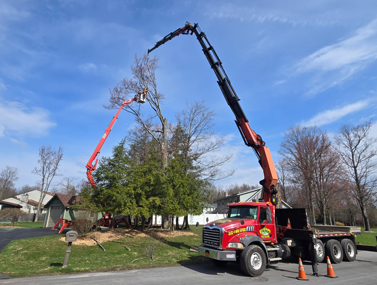 Tree service trucks using cranes to trim a large tree in a suburban yard under a blue sky