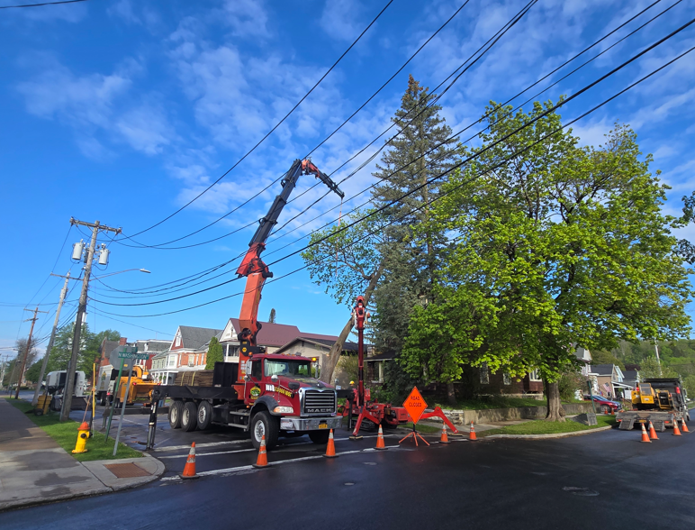 Utility truck and bucket crane working by a tree on a street, with orange cones blocking the road.
