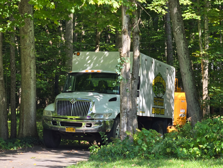 White box truck parked on a forest road beside a yellow vehicle, surrounded by trees