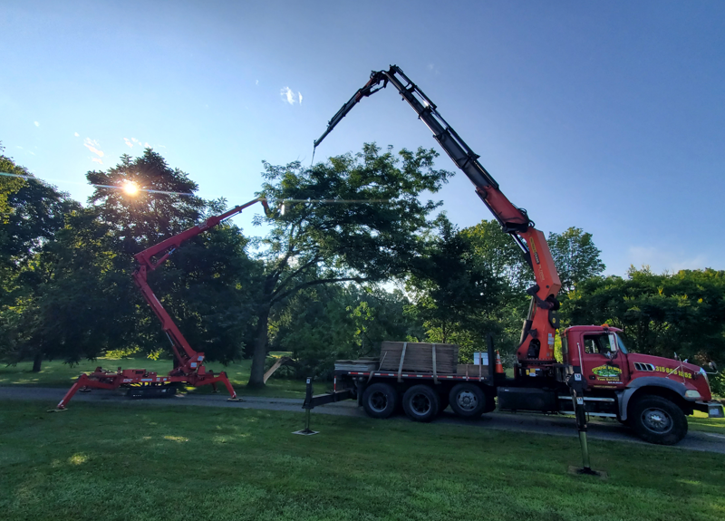 Two cherry pickers and a utility truck in a grassy park under a blue sky