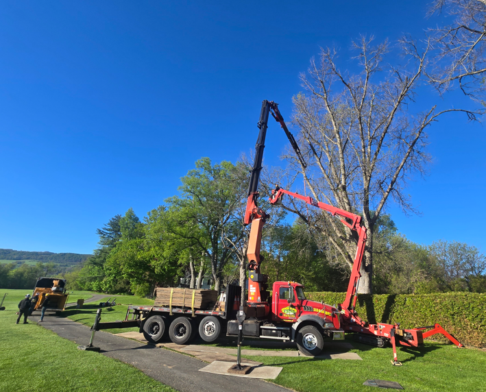 Red crane truck lifting a large tree branch beside a road on a sunny day