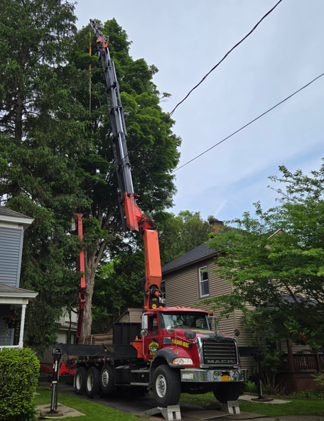 Crane truck lifting a large tree limb over a residential street between houses