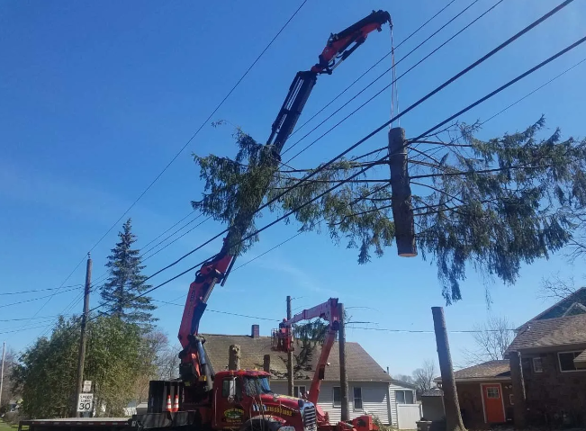 Crane lifting a long tree limb over power lines in a residential neighborhood.