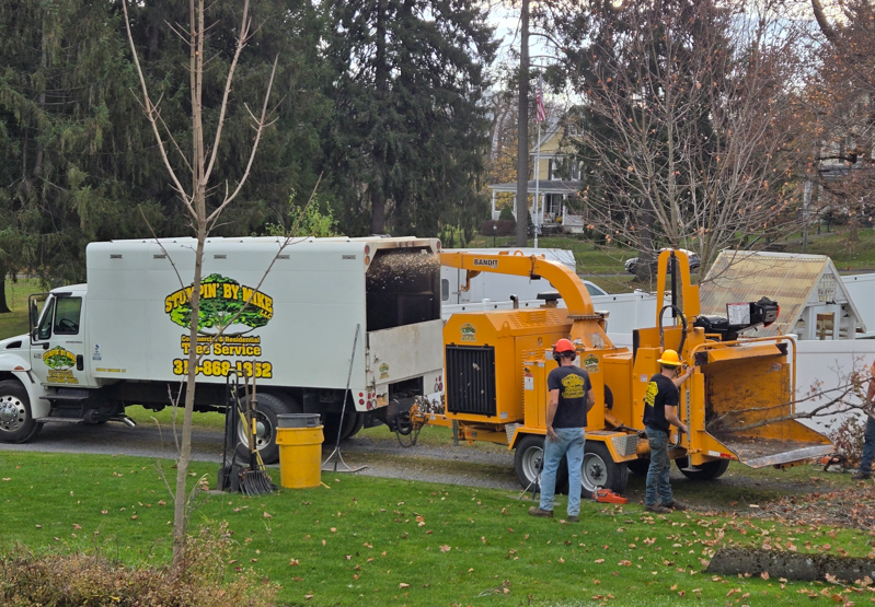 Tree crew truck and wood chipper clearing branches in a grassy yard on an overcast day