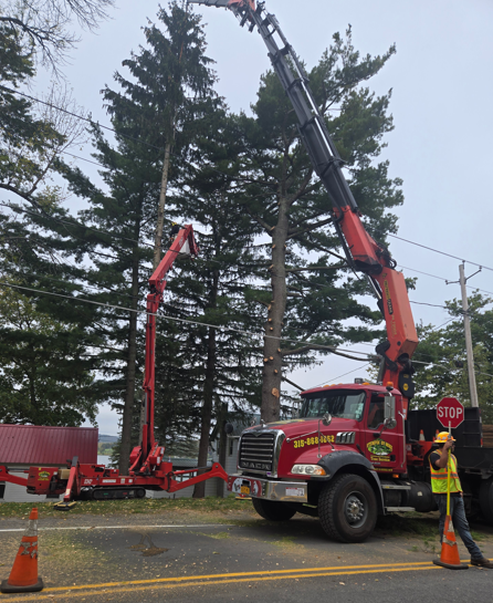 Utility truck with red crane lifting near tall trees, with a worker and traffic cone on a road.