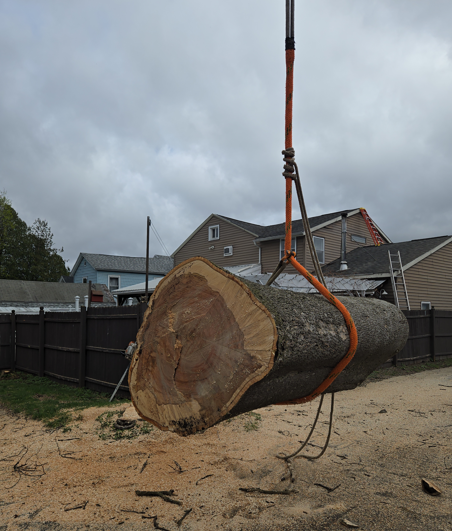 Large tree trunk being lifted by a crane in a sandy residential yard under cloudy skies