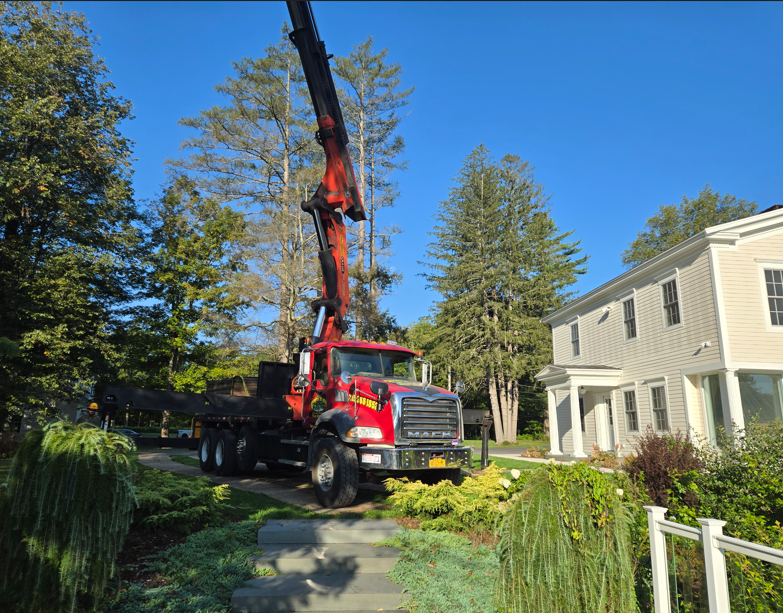 Red crane truck lifting a tree beside a house in a sunny suburban yard
