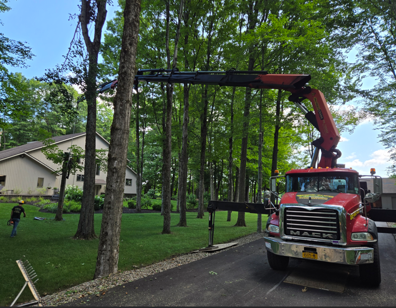 Red crane truck lifting a black steel frame in a tree-lined driveway beside a house.