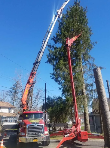 Crane truck lifting a tall tree beside a red stump grinder on a sunny street.