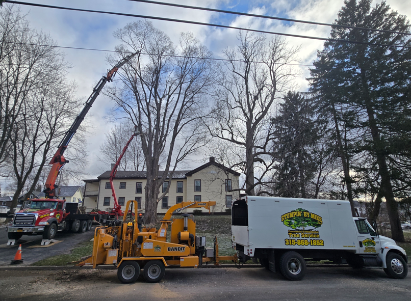 Utility truck and crane lifting a tree beside a house on a residential street
