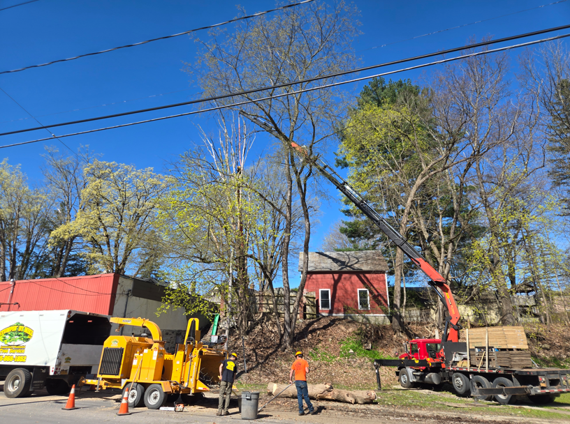 Tree removal crew with bucket truck and chipper working beside a red house under a clear blue sky