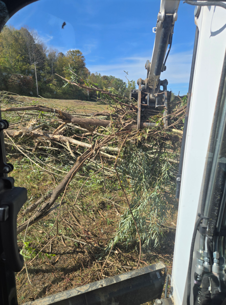 Excavator clearing fallen branches in a grassy field near trees under a blue sky