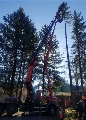 Crane truck lifting a tall tree beside a building in a wooded area at dusk