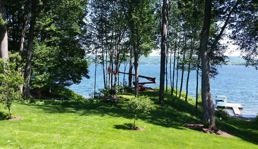 Tree-lined lakeside lawn with a dock, boat lift, and blue water in the background