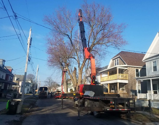 Crane lifting materials on a residential street with houses and trees under a clear blue sky