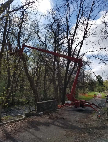 Red excavator arm lifting a large wire fence beside a wooded roadside