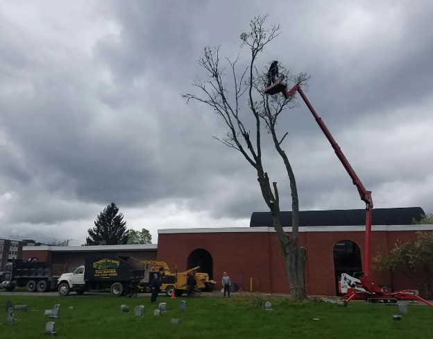Tree trimming beside a brick building under cloudy skies, with a cherry picker reaching the treetop