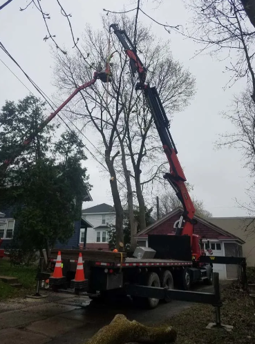 Crane truck trimming a tall tree beside a house on a residential street