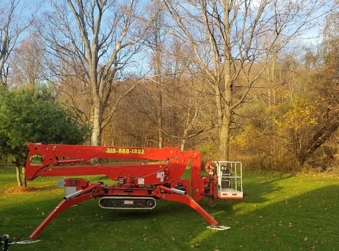 Red lift truck on grass in a wooded park, with trees and autumn leaves in the background