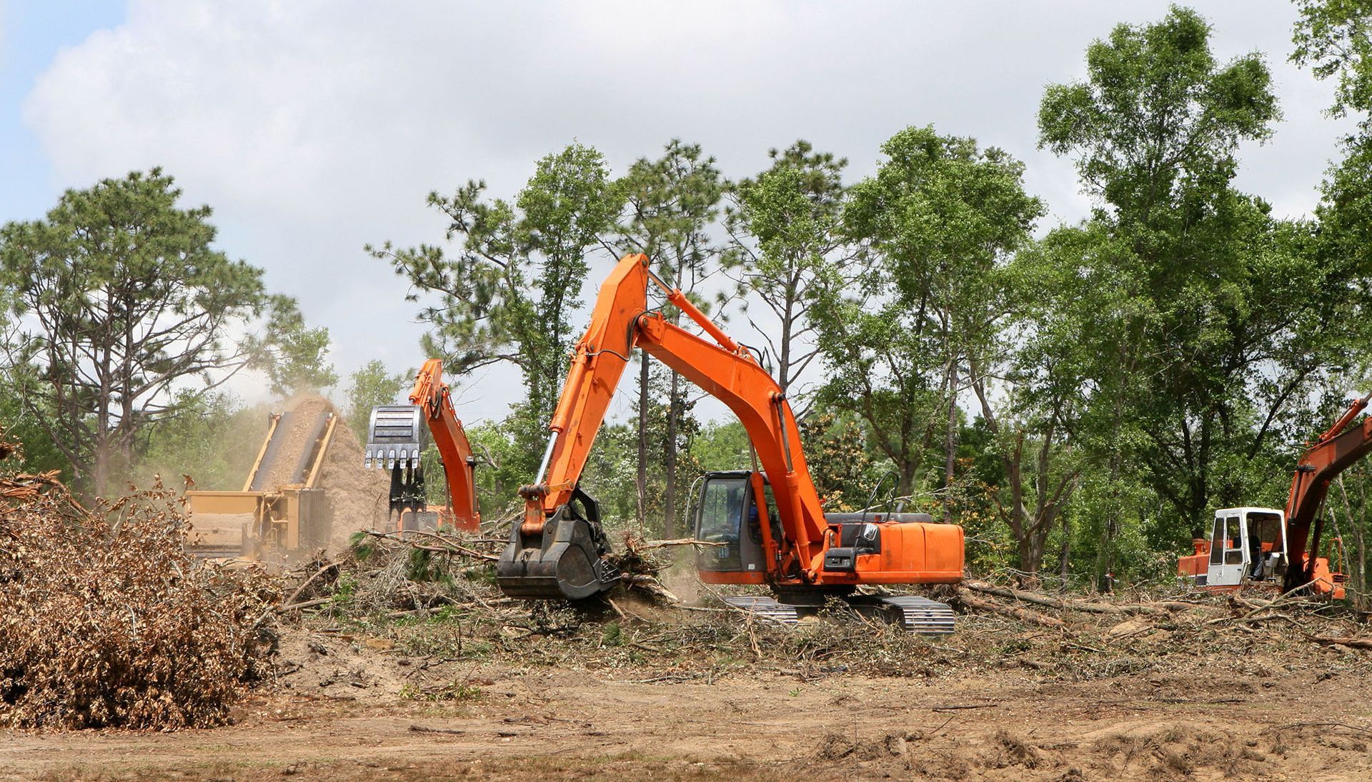 Orange excavators clearing a muddy forest site with trees and dust in the background