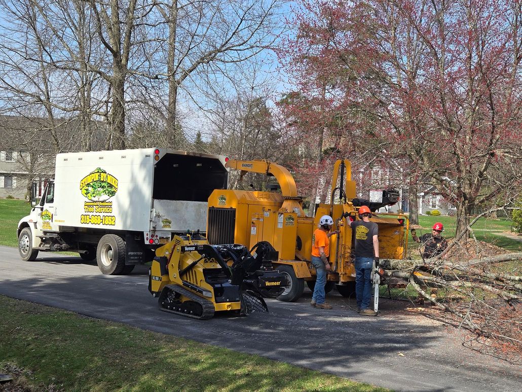 Road crew beside white truck and yellow wood chipper clearing branches on a tree-lined street.