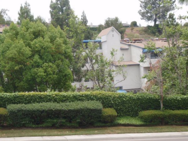 A white house with a blue roof is surrounded by trees and bushes.