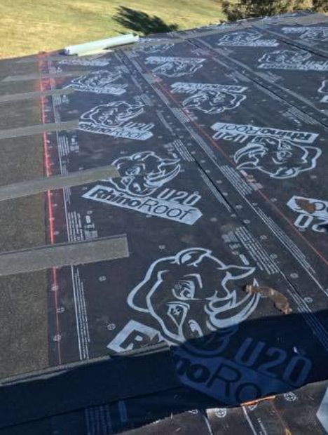 A roof with a rhino roof on it